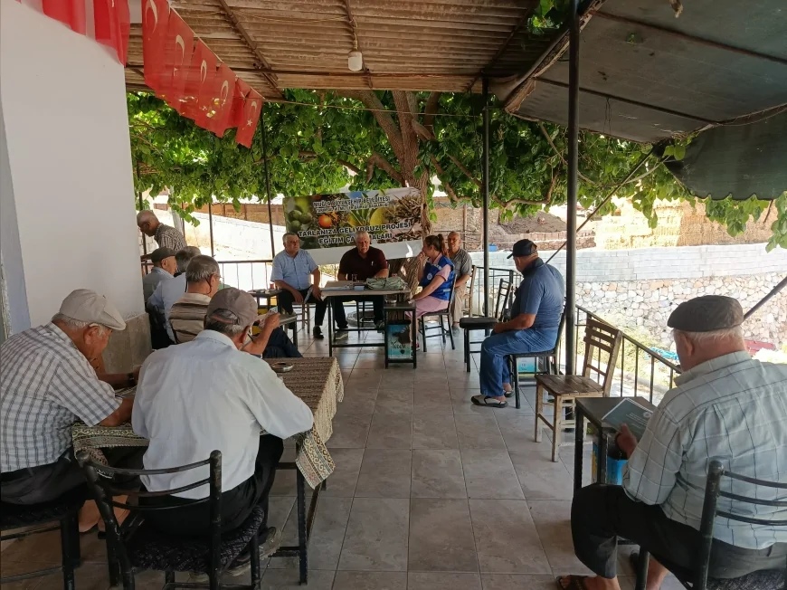 Milas'ta Zeytin Üreticilerine Yönelik Dört Noktada Eğitim Verildi: "Tarlanıza Geliyoruz" Projesi Sürüyor