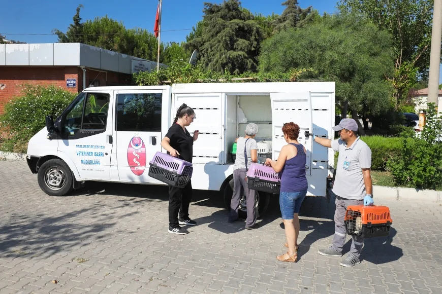 Narlıdere’de sahipsiz kediler için sağlık ve bakım seferberliği başlatıldı!