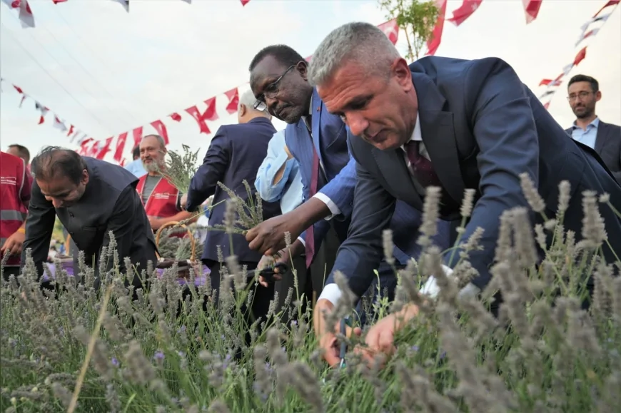 Keçiören’de lavanta festivali binlerce ziyaretçiyi doğal ve kültürel etkinliklerde buluşturdu