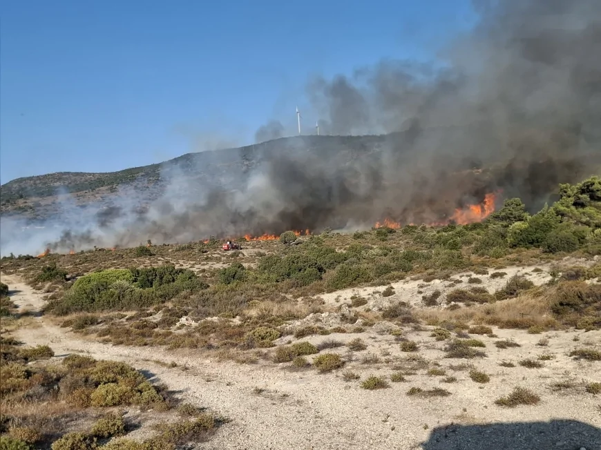 Urla Barbaros Mahallesi’ndeki orman yangını kontrol altına alındı