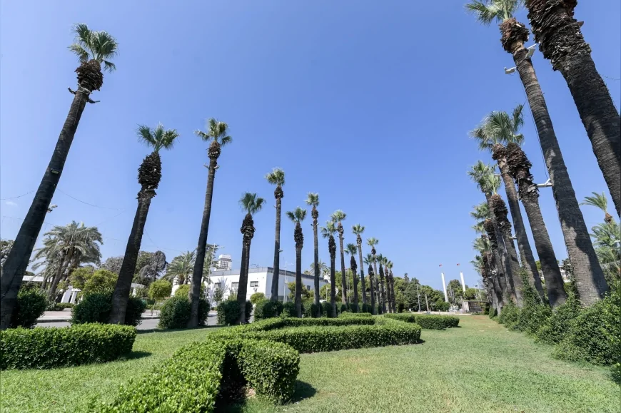 İzmir’de Palmiyeler Yapay Zeka Destekli Sismik Sensörlerle Kırmızı Palmiye Böceğine Karşı Korunuyor