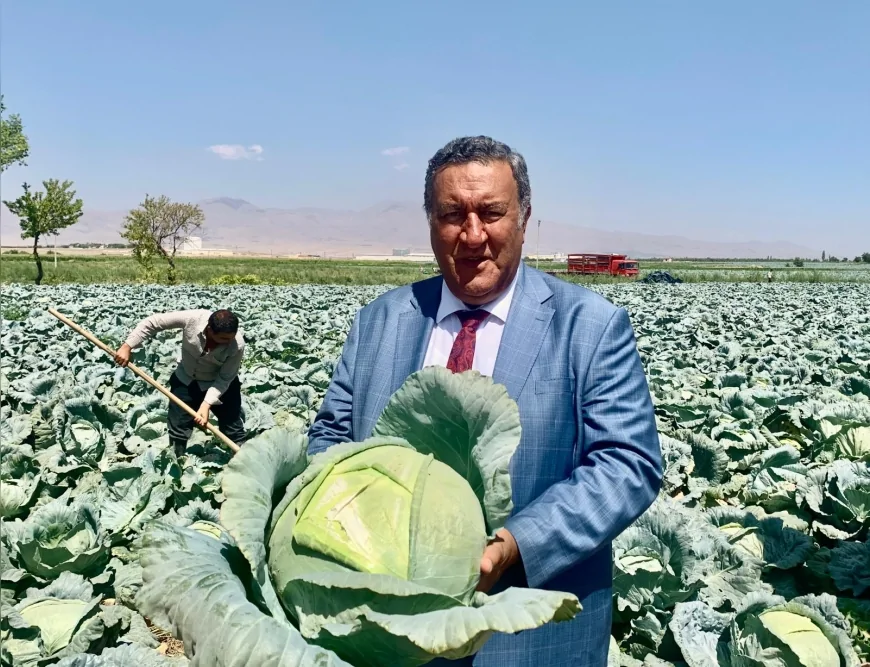 CHP Niğde Milletvekili Ömer Fethi Gürer: "Üretici karını sınırlı tutuyor, sorun raftaki fiyat farkı"