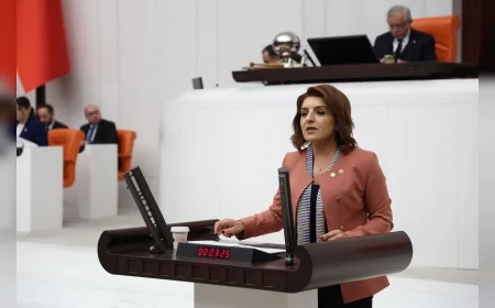 CHP’li Gülcan Kış: "4 milyon gencimizi kaderine terk ettiler, Bakanlık 270 gün sonra boş cevap verdi"
