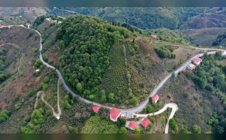 Ordu Ünye Pelitliyatak’ta 6 kilometrelik yol ağı asfalt ile yenileniyor