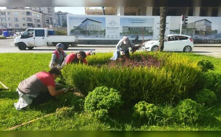 Ordu’da kavşaklara dört mevsim bakım çalışmasıyla şehir estetiği güçlendiriliyor