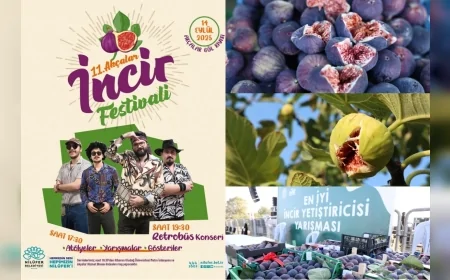 Bursa’da 11. Akçalar İncir Festivali 14 Eylül’de Göl Kıyısında Başlıyor!
