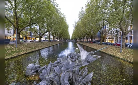 Düsseldorf’un ünlü Königsallee’sinde sonbahar manzarası ziyaretçileri büyüledi