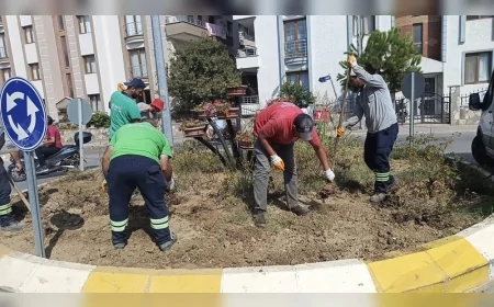 Yalova Belediyesi kent genelinde kurakçıl peyzaj uygulamalarını yaygınlaştırıyor