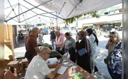 Ordu’da üreticilere 200 bin kışlık sebze fidesi dağıtılıyor, brokoli ve lahana ilk kez seralarda üretildi