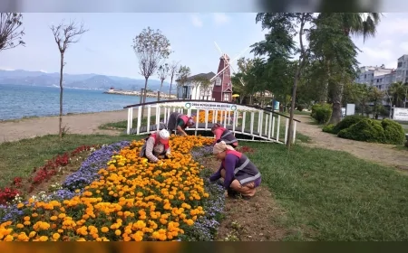 Ordu’da kent estetiği için kapsamlı peyzaj çalışmaları hız kazandı
