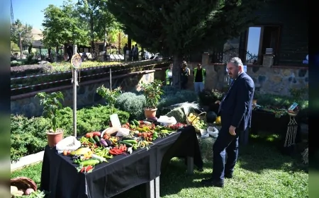 Pursaklar Belediyesi Ata Bahçesi’nde yerli tohum hasadı yapıldı, doğal ürünler vatandaşla buluşacak