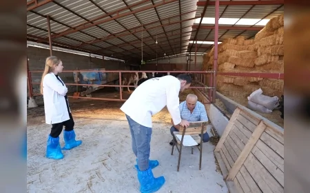 Denizli’de üreticilere ücretsiz veterinerlik desteği, büyükbaş hayvanlarda sağlık kontrolü başlatıldı
