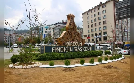 Giresun Belediyesi altyapıdan çevre düzenlemesine kadar şehir genelinde yoğun çalışma yürütüyor