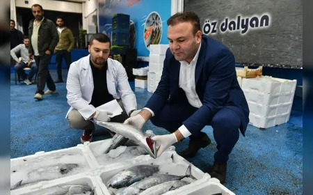 Ankara’da balık avı sezonu başladı, ABB Balık Hali’nde günlük denetimler sürüyor