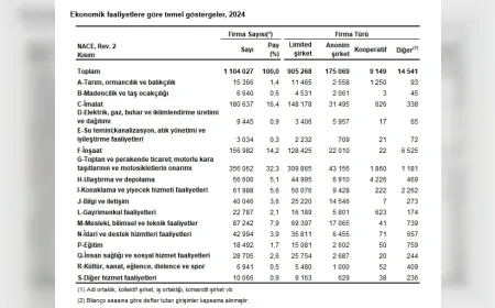 TÜİK: Türkiye’de en fazla firma toptan ve perakende ticaret ile motorlu taşıt onarımı sektöründe faaliyet gösteriyor