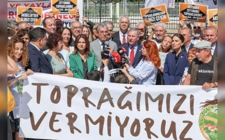 Milletvekili Gizem Özcan’dan Bakan Yumaklı’ya Akbelen sorusu: “Zeytin kesimi hukuk devleti ilkeleriyle bağdaşıyor mu”