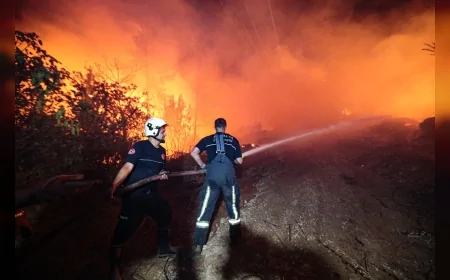 Antalya’nın üç ilçesinde çıkan yangınlara gece boyu müdahale, itfaiye ekipleri alevleri kısmen kontrol altına aldı