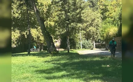 Efeler Belediyesi ekipleri Pınarbaşı Mesire Alanı’nda kapsamlı temizlik ve peyzaj çalışması yaptı