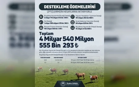Tarım ve Orman Bakanı İbrahim Yumaklı: "4 milyar 540 milyon liralık destek ödemesi çiftçilerin hesaplarına aktarılıyor"