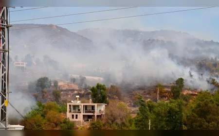 Antalya Alanya’daki orman yangınında 200 hektar alan zarar gördü, söndürme çalışmaları sürüyor