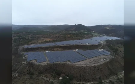 Eski maden sahaları enerjiye dönüyor: Güneş tarlaları ve milyonlarca ağaçla dönüşüm başladı