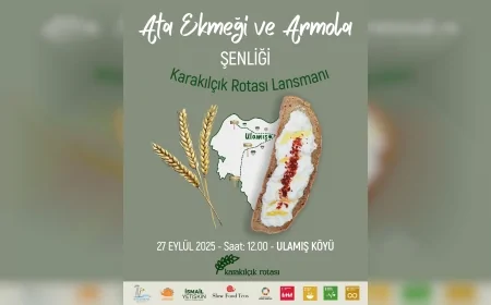 Seferihisar Ulamış Köyü 8. Ata Ekmeği ve Armola Şenliği Karakılçık Rotası Lansmanı ile Başlıyor