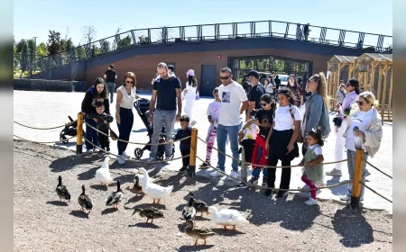Ankara’da Atatürk Çocukları Doğal Yaşam Parkı açılışından kısa sürede yarım milyon ziyaretçiye ulaştı