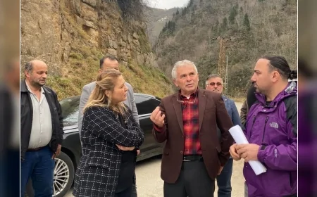 CHP Milletvekili Elvan Işık Gezmiş: "Doğankent’teki maden çevreyi zehirliyor, bu katliama izin vermeyeceğiz"