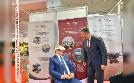 Bandırma’da tarım ve hayvancılık fuarı ilk kez düzenlendi, 80 firma katılım sağladı