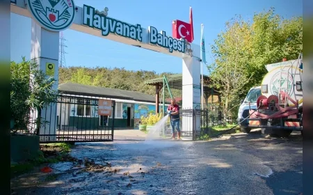 Giresun Belediyesi mahallelerde yoğun saha çalışmalarıyla altyapı ve çevre düzenlemelerini sürdürüyor