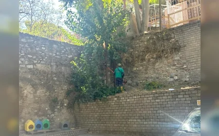 Efeler Belediyesi tarihi surlarda temizlik ve çevre düzenleme çalışması başlattı