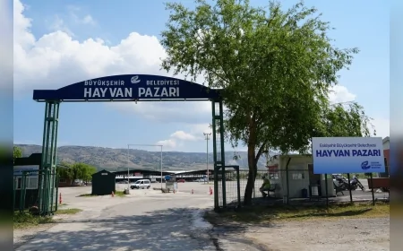 Eskişehir’de şap hastalığı nedeniyle Büyükşehir Hayvan Pazarı ikinci bir duyuruya kadar kapatıldı