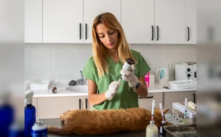 Kuşadası Davutlar Mahallesi Kedi Kısırlaştırma Merkezi’nde 10 günde 54 operasyon yapıldı