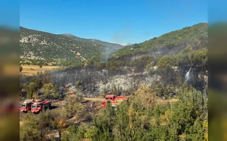 Burdur Ağlasun’da çıkan orman yangını hızlı müdahale ile büyümeden kontrol altına alındı