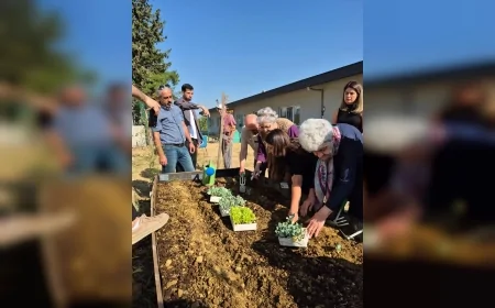 Nilüfer’de Alzheimer farkındalığı için konuk evi sakinleri fidelerle umut yeşertti