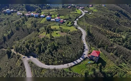 Ordu Gürgentepe’de 13 kilometrelik grup yolunda asfalt çalışmaları sürüyor