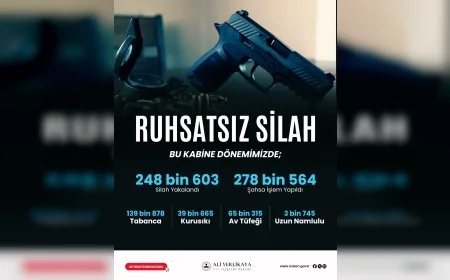 81 ilde düzenlenen operasyonlarda ruhsatsız silah ve şüpheli sayıları açıklandı, son haftada binlerce silah ele geçirildi ve kabine döneminde toplam 248 bin 603 ruhsatsız silah bildirildi.