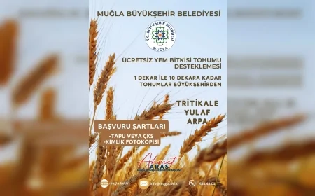 Muğla’da üreticiye ücretsiz yem bitkisi tohumu desteği başladı, başvurular 10 Ekim’e kadar sürecek
