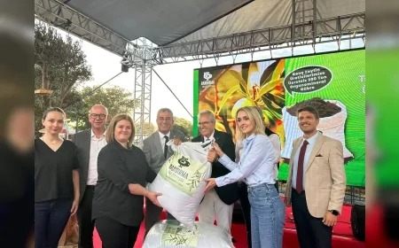 Bandırma Belediyesi 40 yaş altı zeytin üreticilerine organomineral gübre desteği sağladı