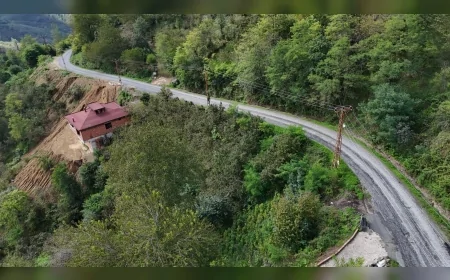 Ordu’nun Perşembe ilçesinde üç mahalleyi birbirine bağlayan yol asfaltla buluşuyor