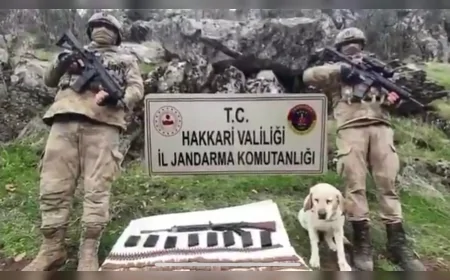 Ali Yerlikaya: "30 ilde jandarma operasyonlarında 144 sığınak imha edildi, 18 örgüt mensubu teslim oldu"