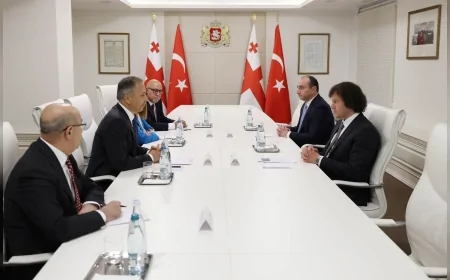 İçişleri Bakanı Ali Yerlikaya: "Organize suçla mücadelede Gürcistan ile iş birliğimizi güçlendirdik"