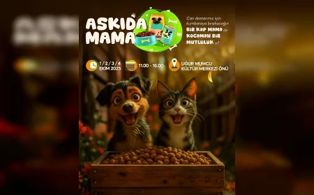 Yalova Belediyesi’nden sokak hayvanları için “Askıda Mama” etkinliği