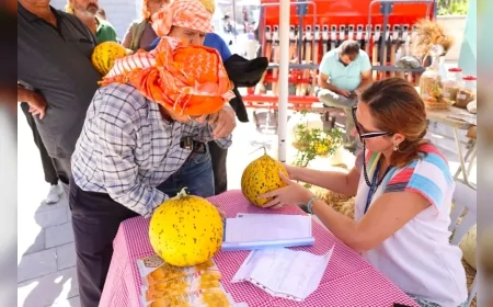 Çeşme’de üretim kültürü buluşması: 10. Ovacık Tarım ve Sakız Koyunu Festivali coşkulu etkinliklerle sona erdi