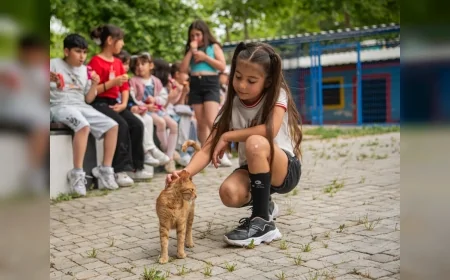 Kuşadası’nda 195 sahipsiz hayvan sahiplenildi, Evcil Hayvan Bakım Merkezi yeni yuvalar kazandırıyor