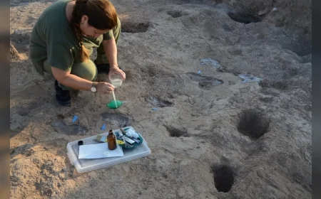 Mehmet Nuri Ersoy: "Hatay’da 7 bin yıl öncesine ait insan ayak izleri bulundu"