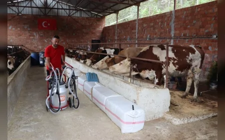 Ordu’da süt üreticilerine soğutma tankı ve toplama merkezi desteğiyle çiğ süt değerinde satılabiliyor