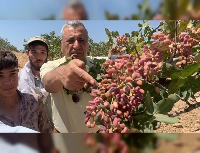 Hasan Öztürkmen CHP Gaziantep Milletvekili: "Antepliye Yapılan En Büyük İhanettir"