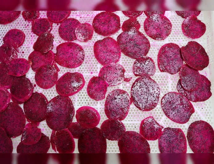 Antalya’da ejder meyvesi ve narenciye kurutularak katma değeri yüksek ürünlere dönüştürülüyor