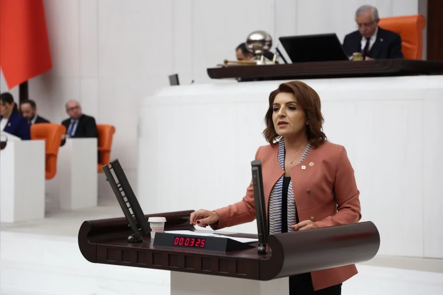 CHP’li Gülcan Kış: "4 milyon gencimizi kaderine terk ettiler, Bakanlık 270 gün sonra boş cevap verdi"